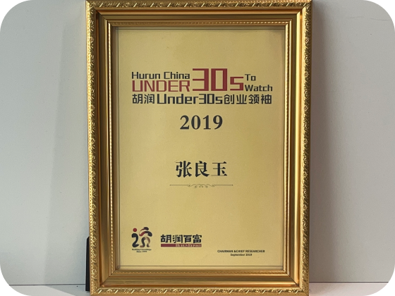 2019年发展历程