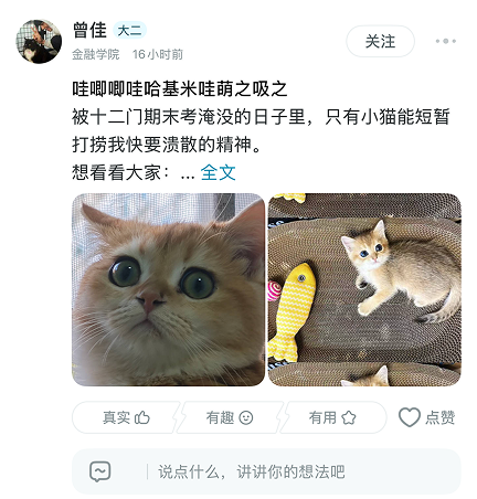 大学生实名社交移动端页面